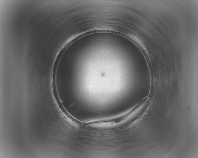 X0000070211133200606091617