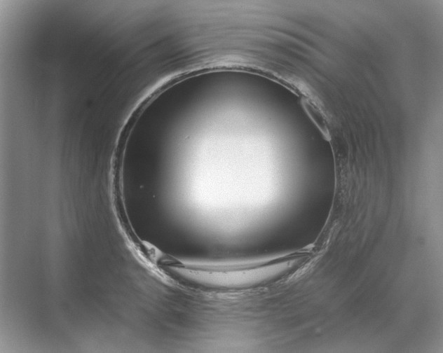 X0000070211134200606091617