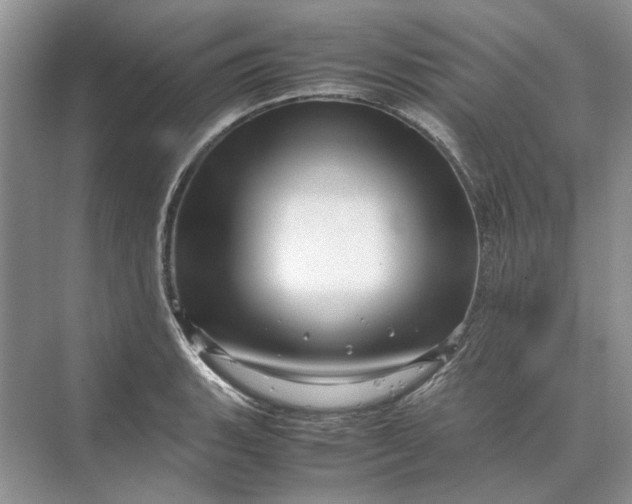 X0000070211135200606091617