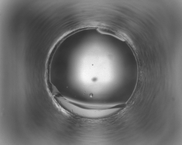 X0000070211136200606091617