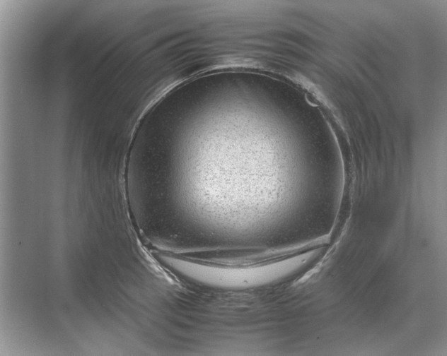 X0000070211137200606091617