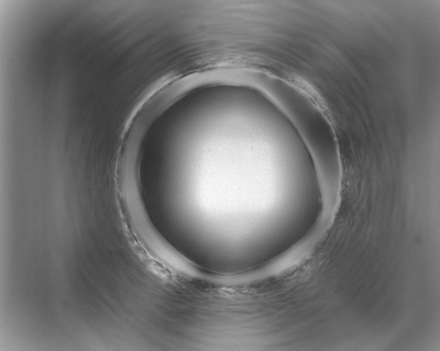 X0000070211138200606091617