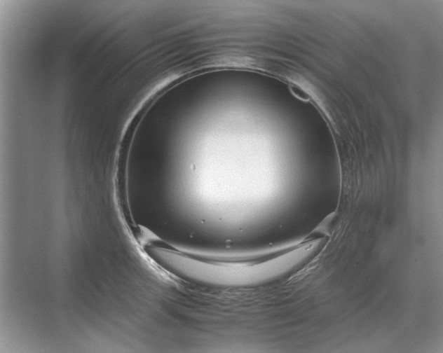 X0000070211139200606091617