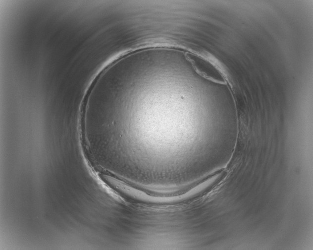 X0000070211142200606091618