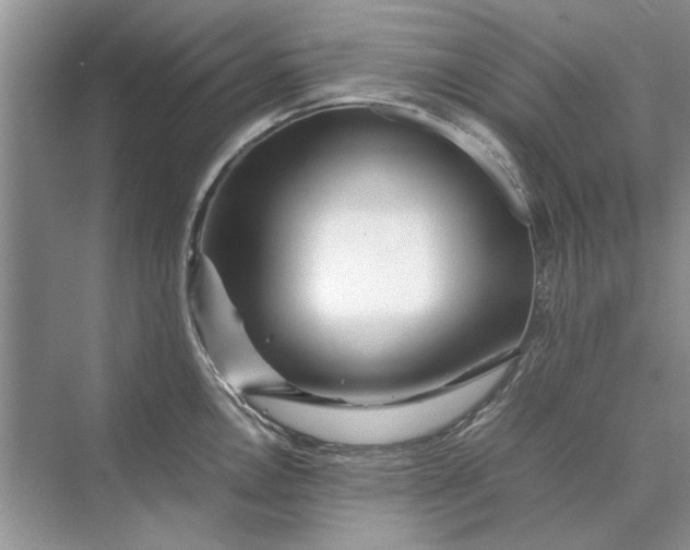 X0000070211146200606091618