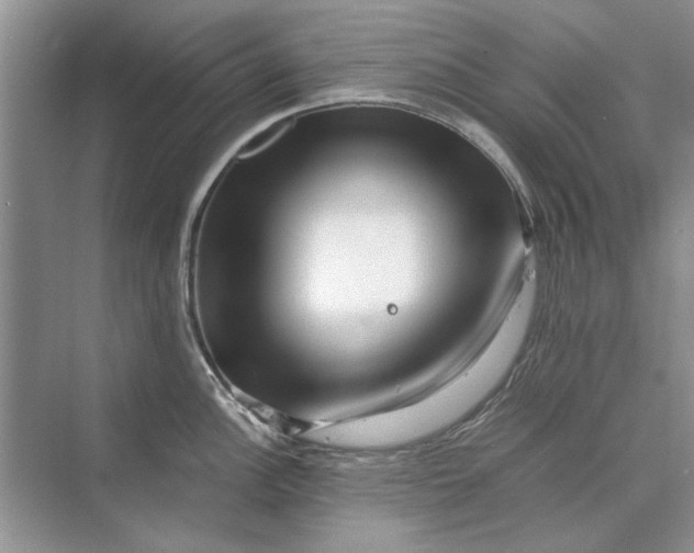 X0000070211148200606091618