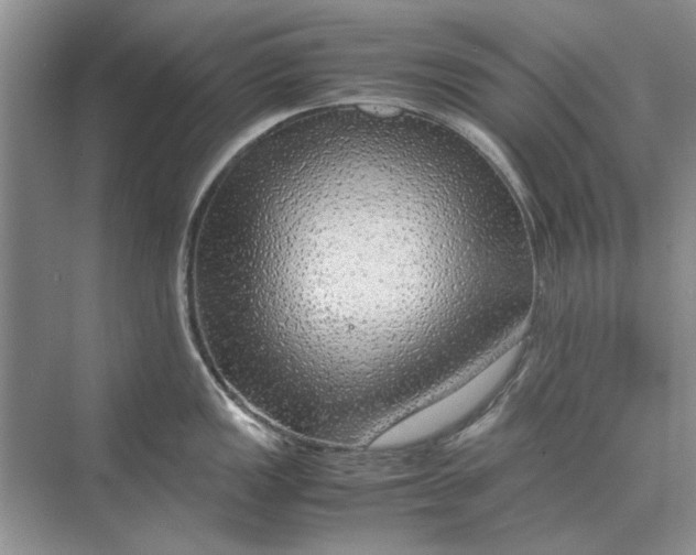 X0000070211149200606091618