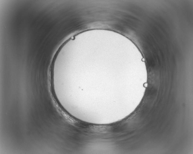 X0000070211150200606091618