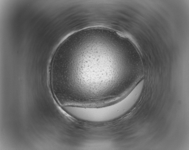 X0000070211151200606091618