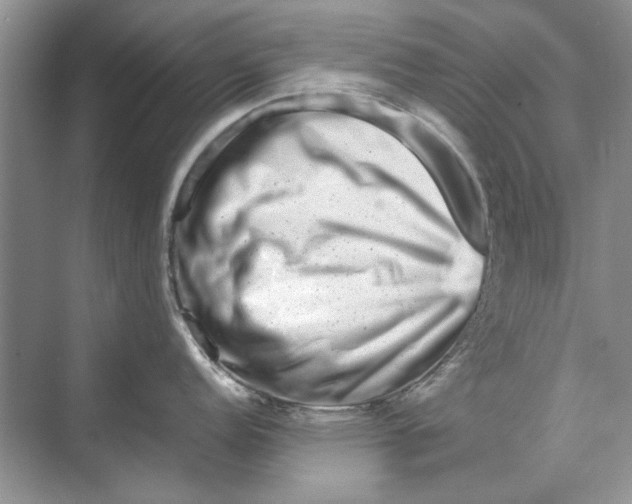 X0000070211152200606091618