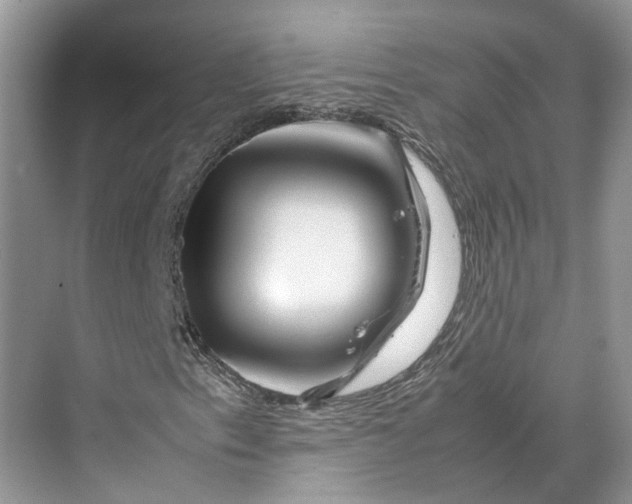 X0000070211153200606091617