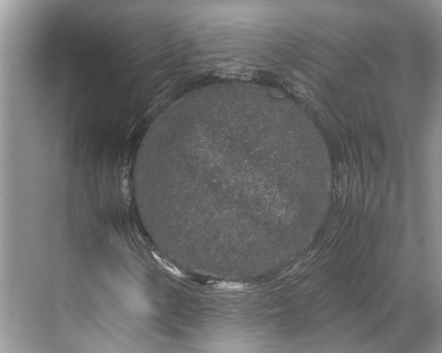 X0000070211154200606091617