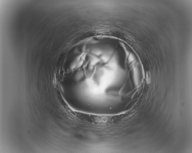 X0000070211155200606091617