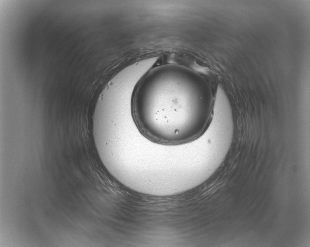 X0000070211156200606091617