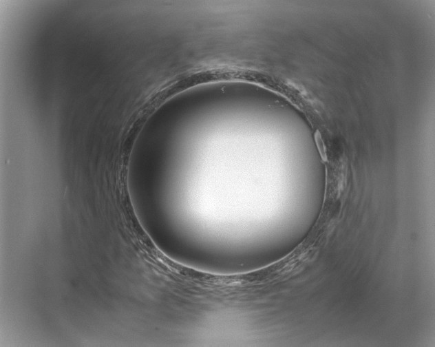 X0000070211157200606091617