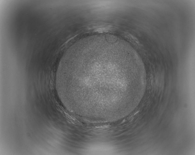 X0000070211158200606091617