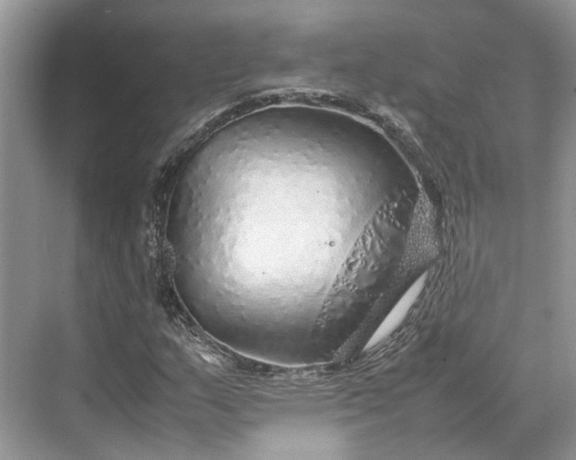 X0000070211159200606091617