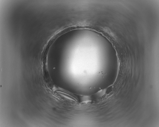 X0000070211160200606091617