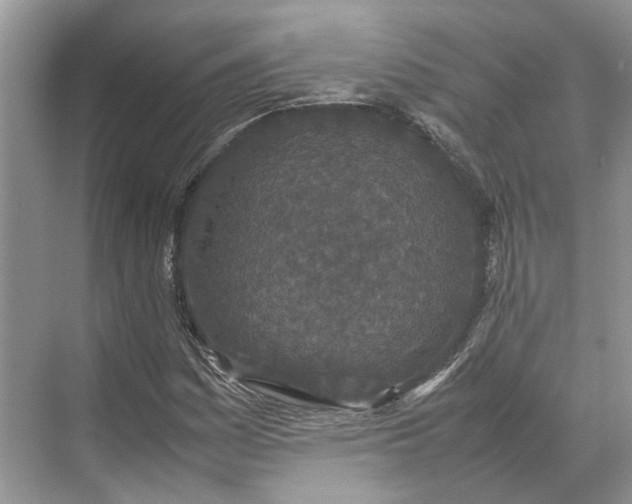 X0000070211161200606091617