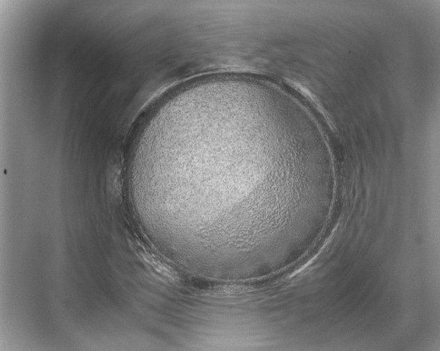 X0000070211163200606091617