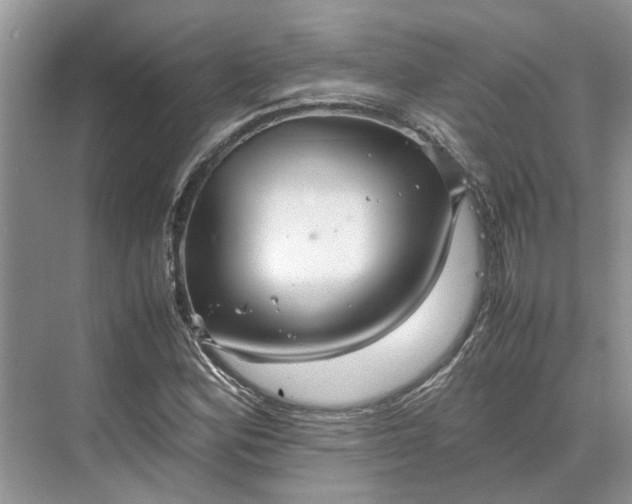 X0000070211164200606091617