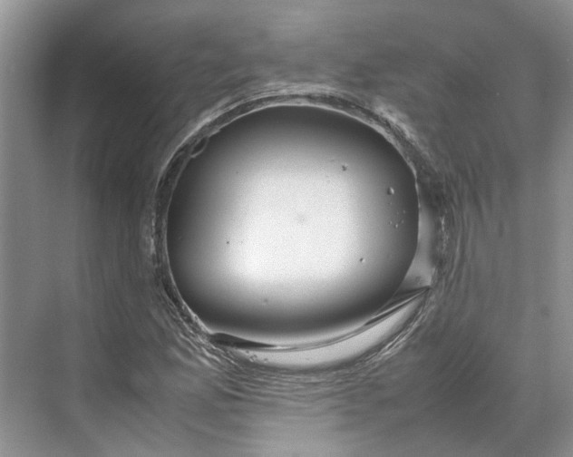 X0000070211165200606091617