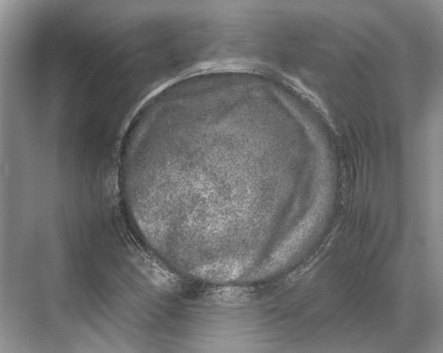 X0000070211166200606091617