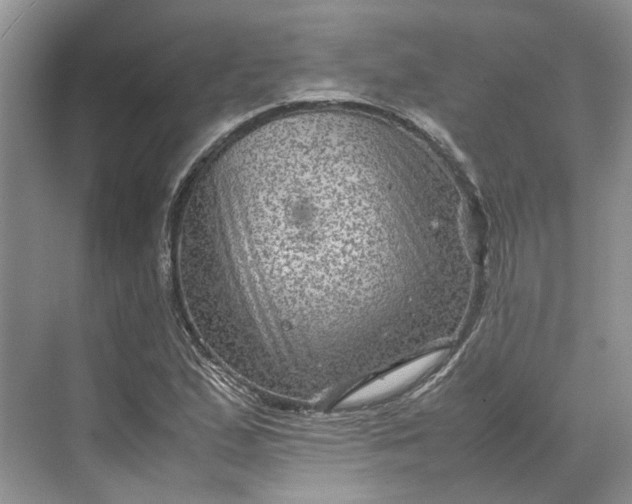 X0000070211167200606091617