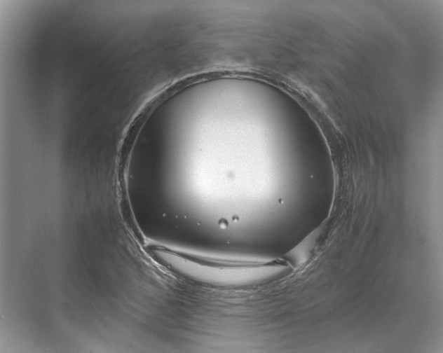 X0000070211168200606091617