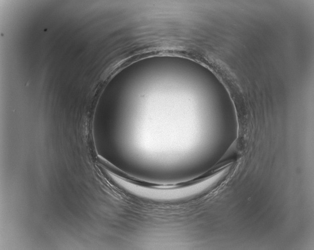 X0000070211169200606091617