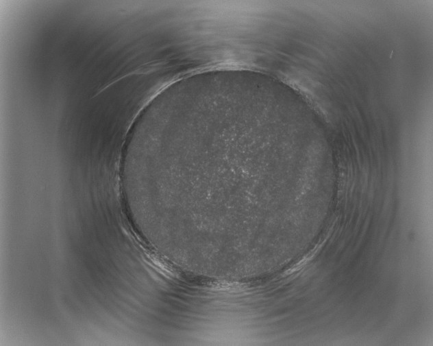 X0000070211170200606091617