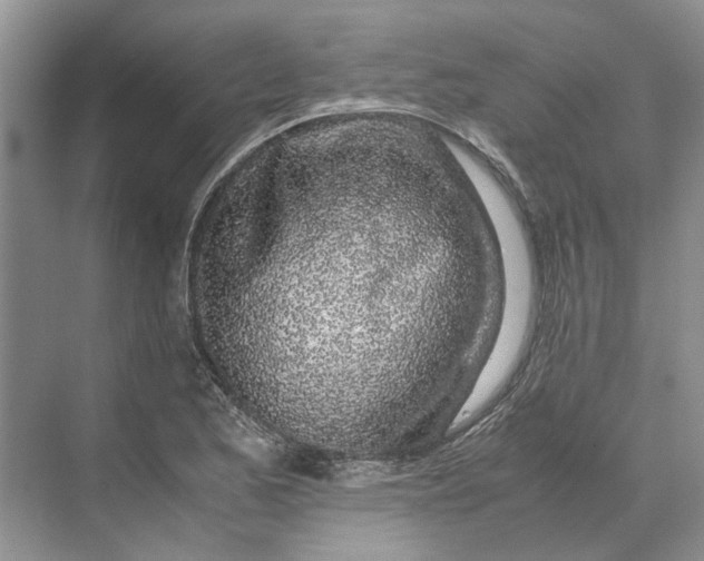 X0000070211173200606091617