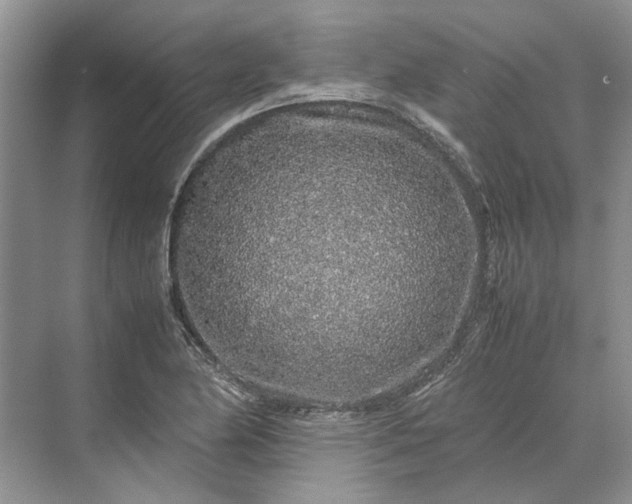 X0000070211174200606091617