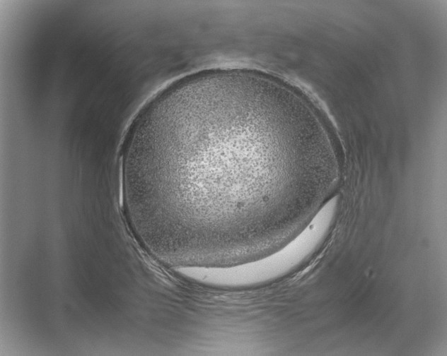 X0000070211175200606091616