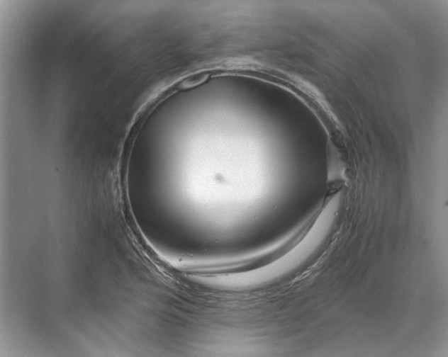 X0000070211176200606091616