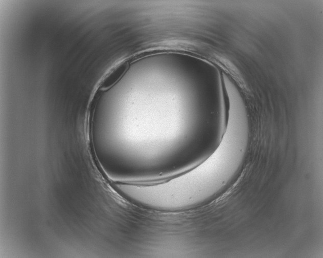 X0000070211180200606091616