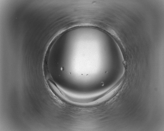 X0000070211181200606091616