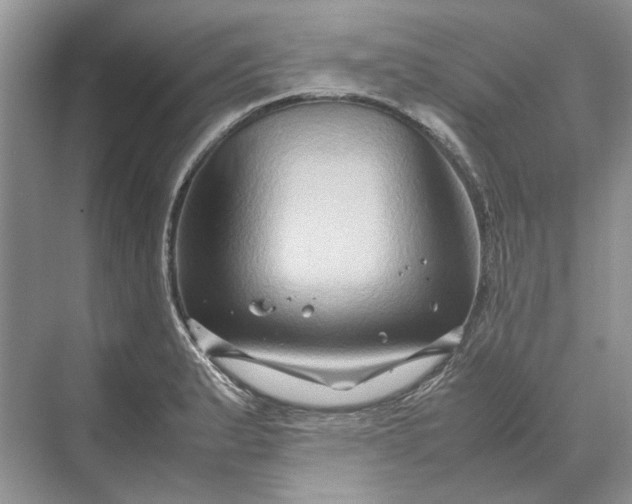 X0000070211183200606091616