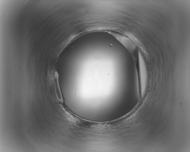 X0000070211185200606091616