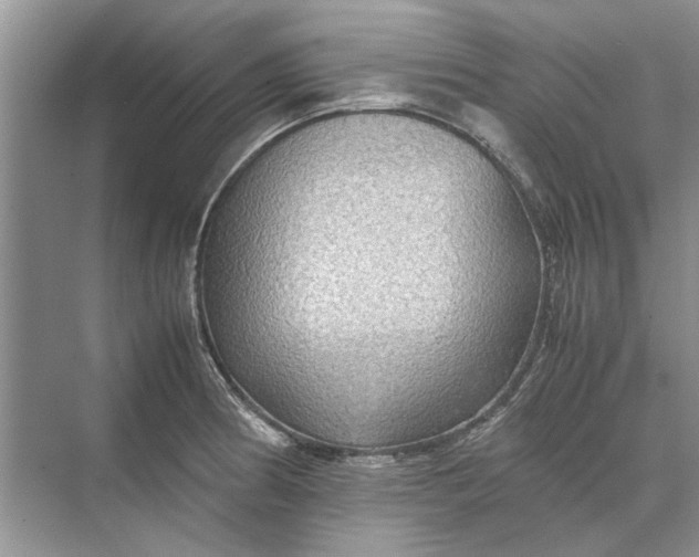 X0000070211186200606091616