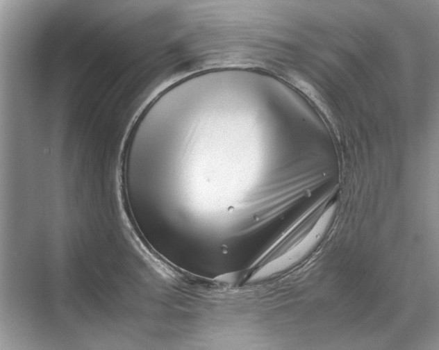 X0000070211187200606091616