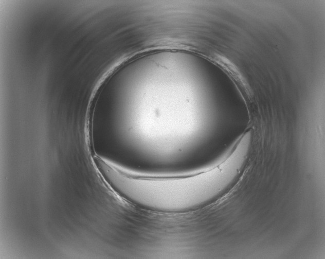 X0000070211188200606091616