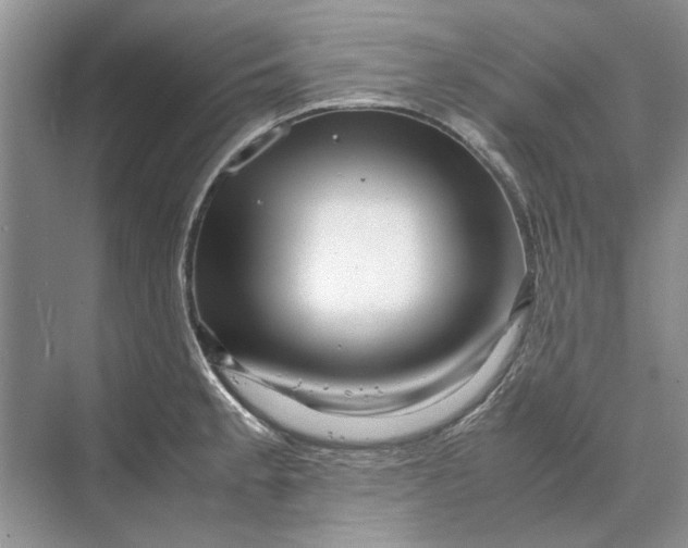 X0000070211189200606091616