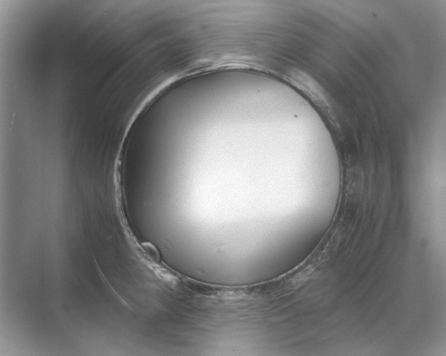 X0000070211190200606091616