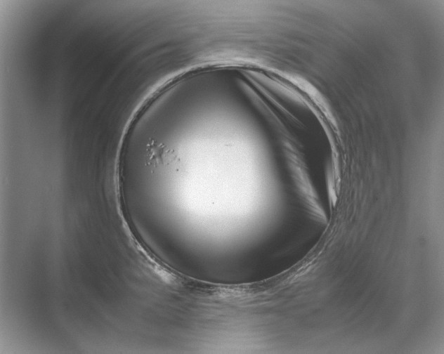 X0000070211191200606091616