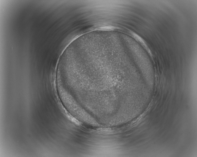 X0000070211194200606091616