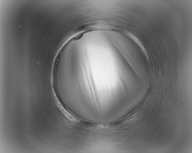 X0000070211195200606091616