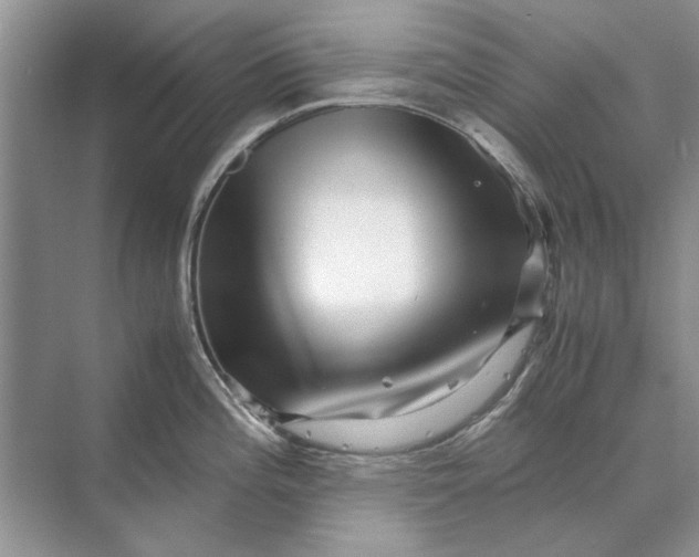 X0000070211196200606091616