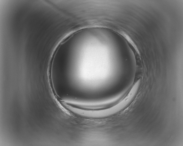 X0000070211197200606091616