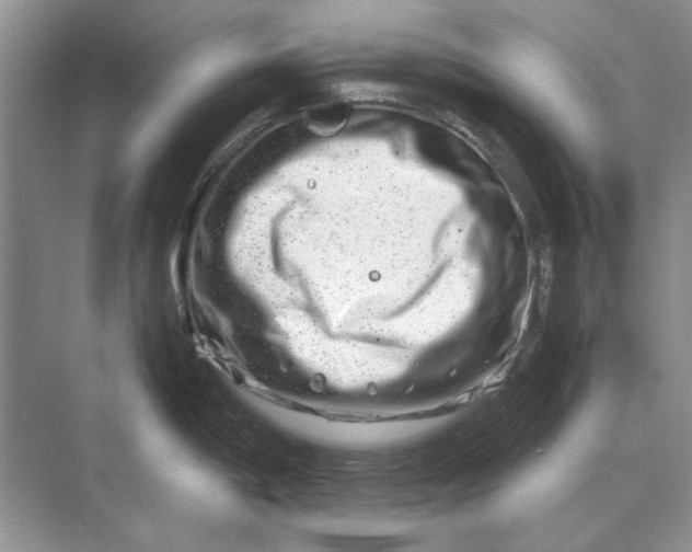 X0000070211198200606091616